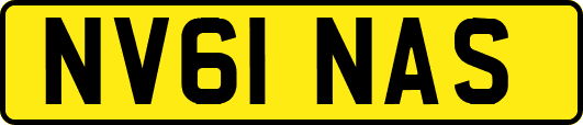 NV61NAS