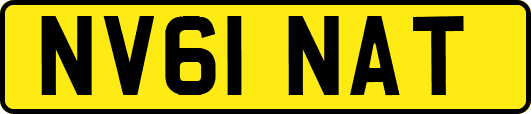 NV61NAT