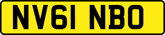 NV61NBO
