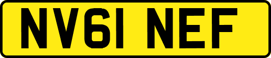 NV61NEF