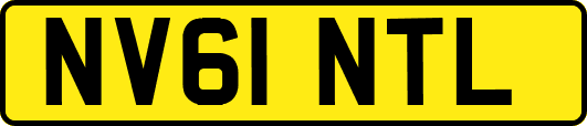 NV61NTL