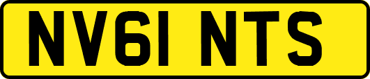 NV61NTS