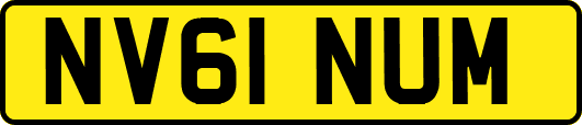 NV61NUM