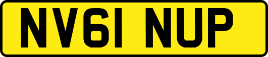 NV61NUP