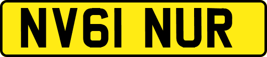 NV61NUR