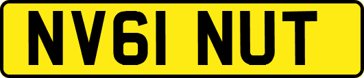 NV61NUT
