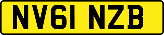 NV61NZB
