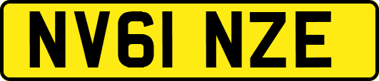 NV61NZE
