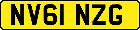 NV61NZG