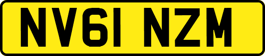 NV61NZM