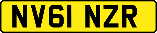 NV61NZR