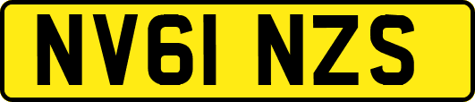 NV61NZS