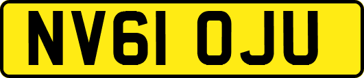 NV61OJU