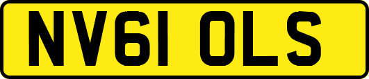 NV61OLS