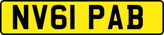 NV61PAB