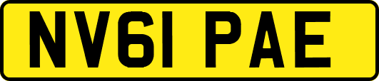 NV61PAE