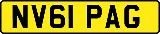 NV61PAG