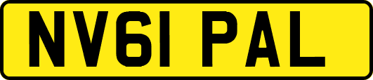 NV61PAL