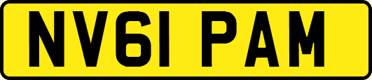 NV61PAM