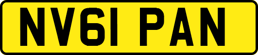 NV61PAN