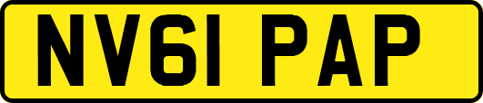 NV61PAP