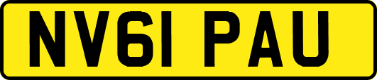 NV61PAU