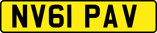 NV61PAV