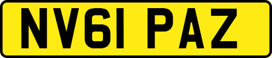 NV61PAZ