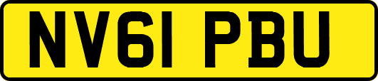 NV61PBU