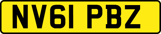NV61PBZ