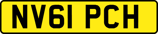 NV61PCH