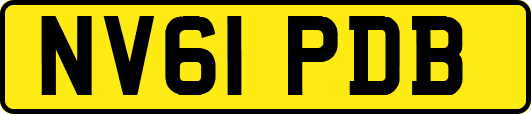 NV61PDB