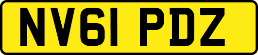 NV61PDZ