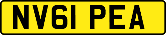 NV61PEA