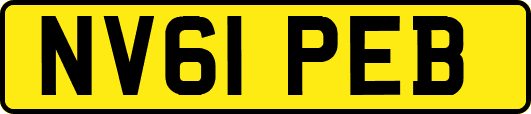 NV61PEB