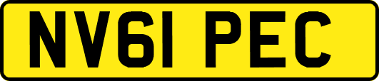 NV61PEC