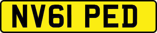 NV61PED
