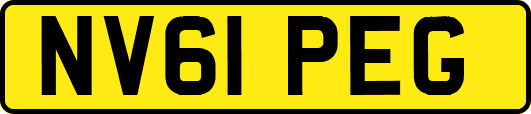 NV61PEG