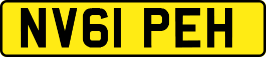NV61PEH