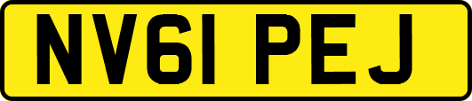 NV61PEJ