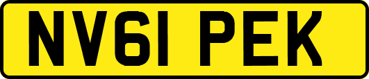 NV61PEK