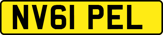 NV61PEL