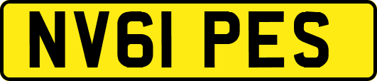 NV61PES