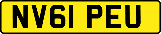NV61PEU