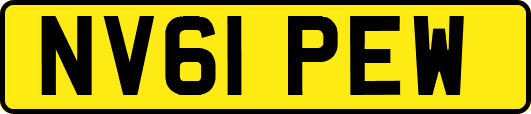NV61PEW