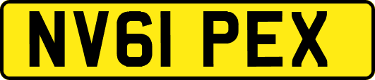 NV61PEX