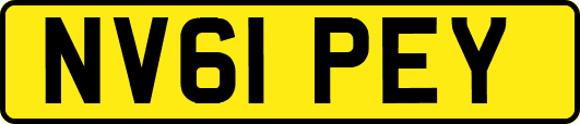 NV61PEY