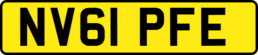 NV61PFE