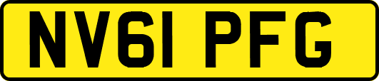 NV61PFG