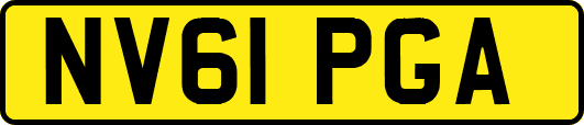 NV61PGA